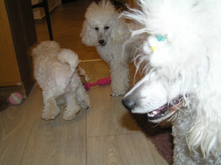 ...to jsem je uhonila!